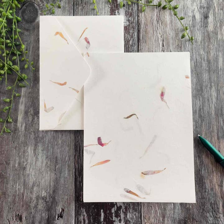 The Natural Paper Company - Wholesale Stationery/Notecard Set - Aster - Floral Handmade Paper and Envelope Set11