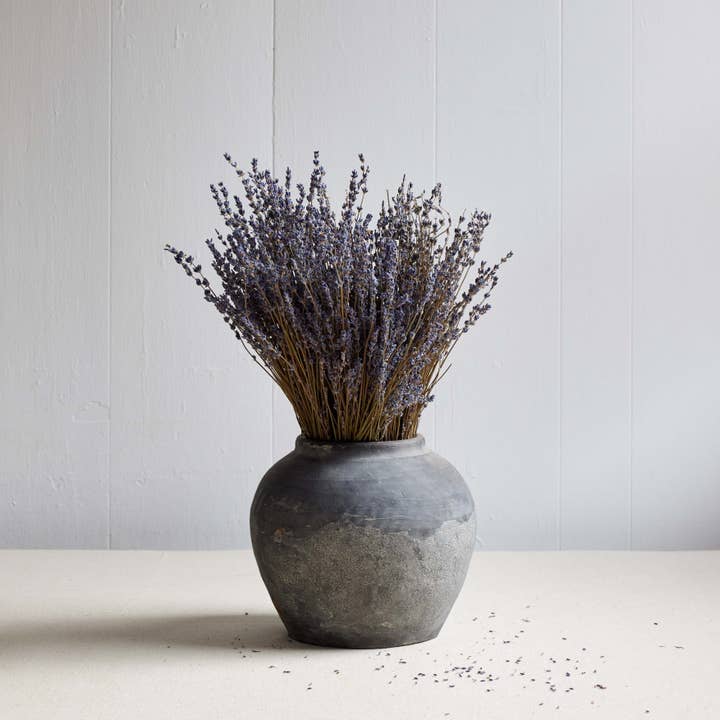Bloomist - Wholesale Dried/Pressed Flowers - Dried Lavender