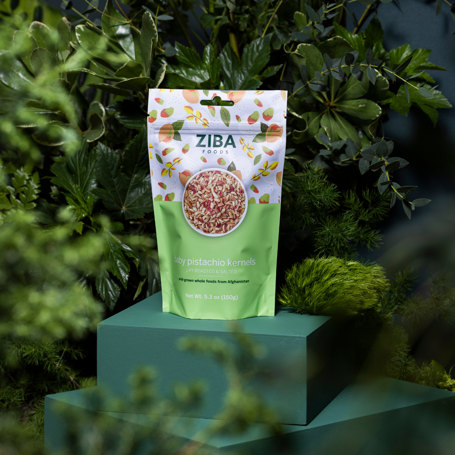 Ziba Foods – wholesale Nötter – Baby pistaschkärnor (torrrostade och saltade) Vegan 1 oz8