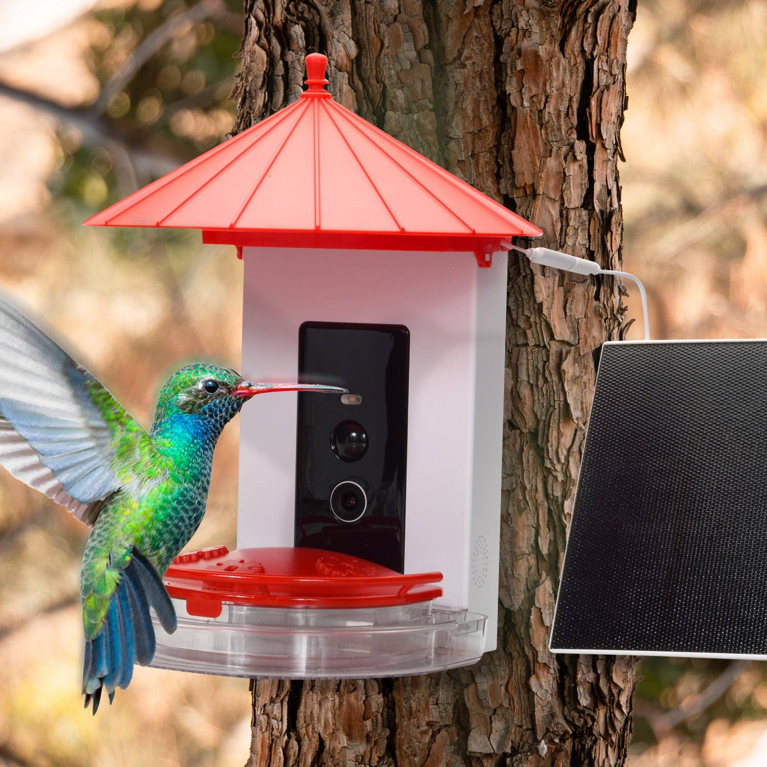 MobileVision - Wholesale Bird Feeder - Smart Hummingbird Feeder1
