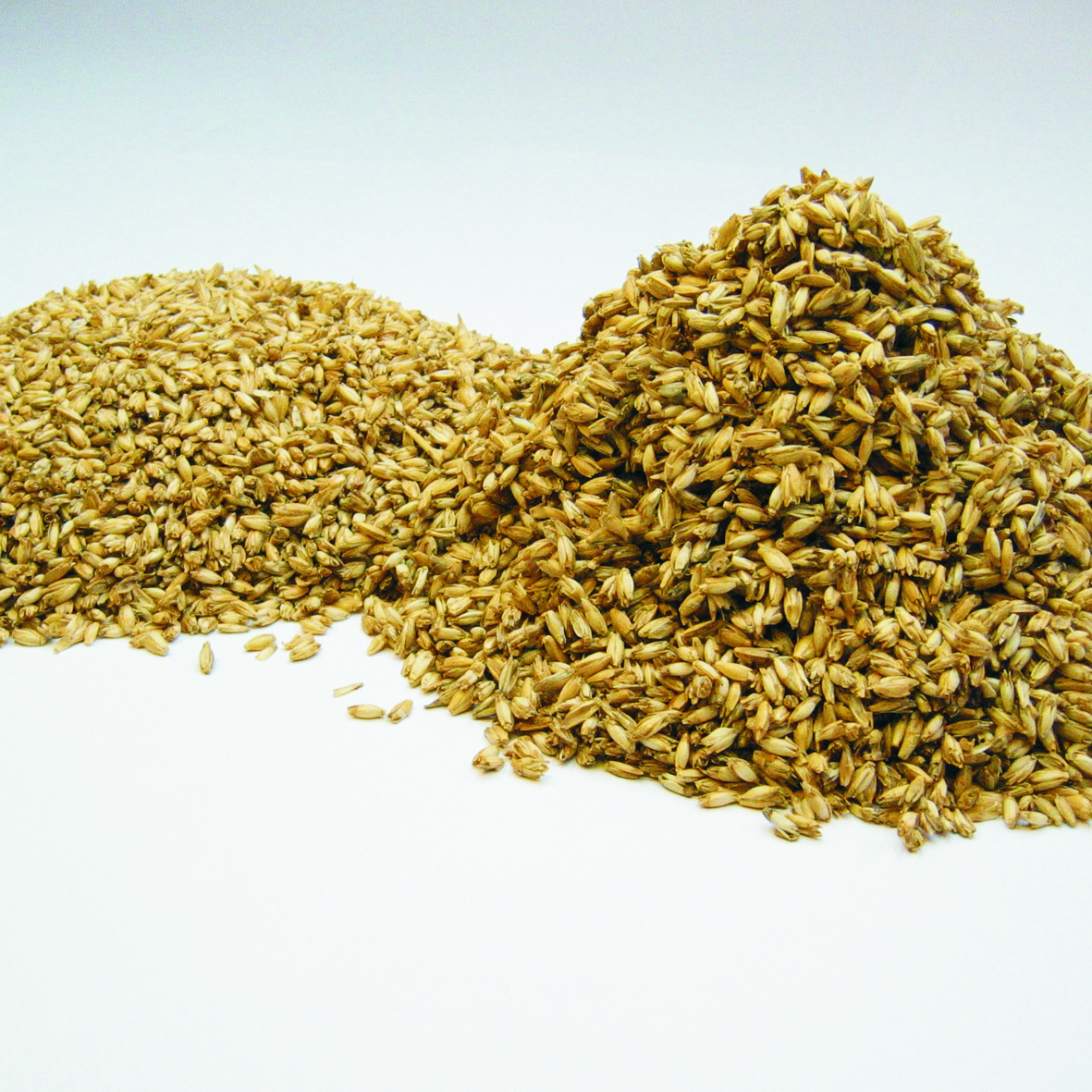 Speltex KG - Wholesale Bedding Pillow - Millet husk and spelt combo pillow with two filling chambers2