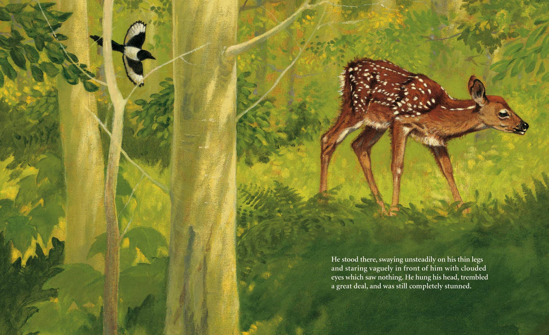 Sleeping Bear Press - Wholesale Book - Kids - Bambi's First Day Picture Book2