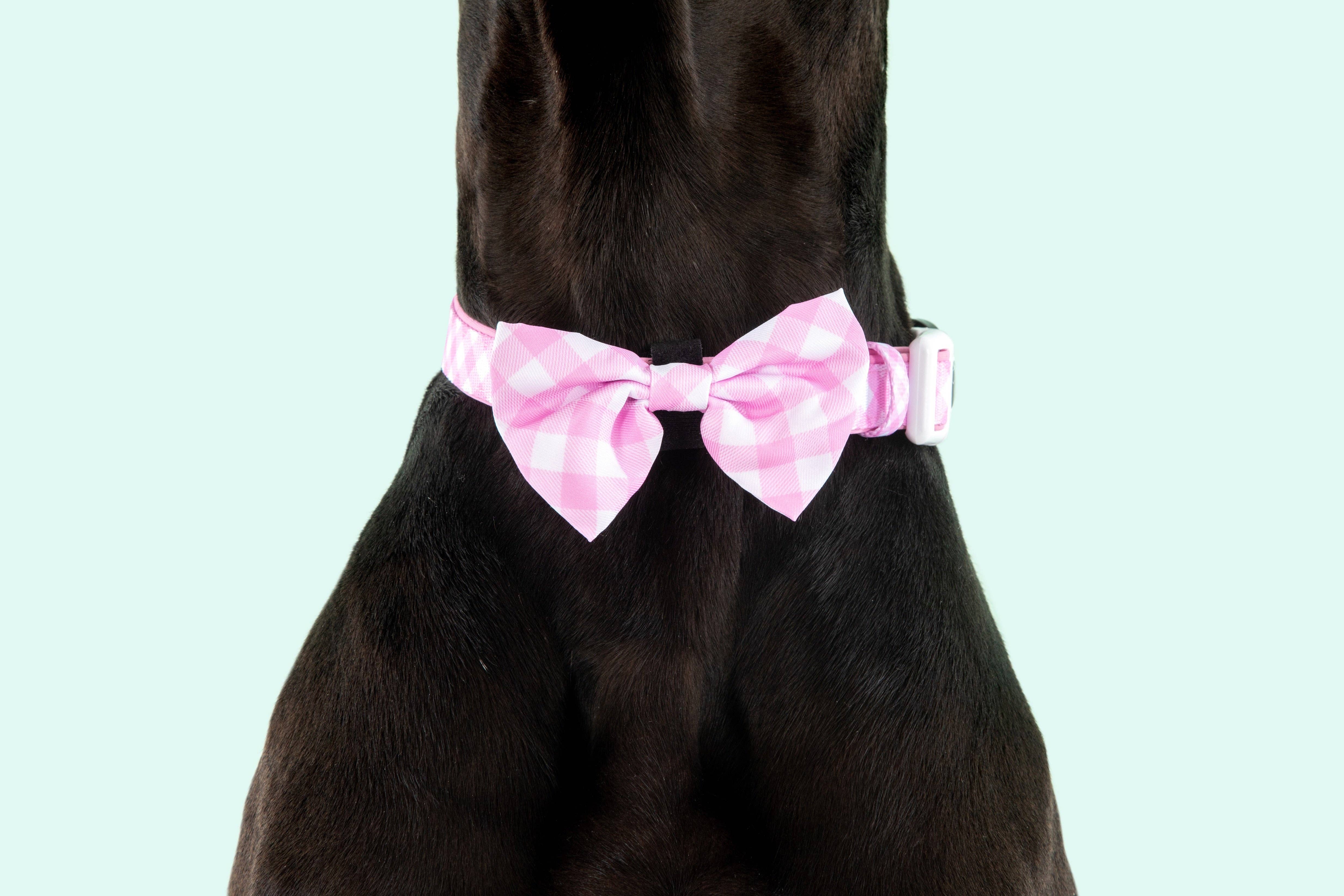 Big and Little Dogs - Vente Nœud papillon – chien - COLLIER ET NŒUD PAPILLON POUR CHIEN : Pink Milk Vingham2