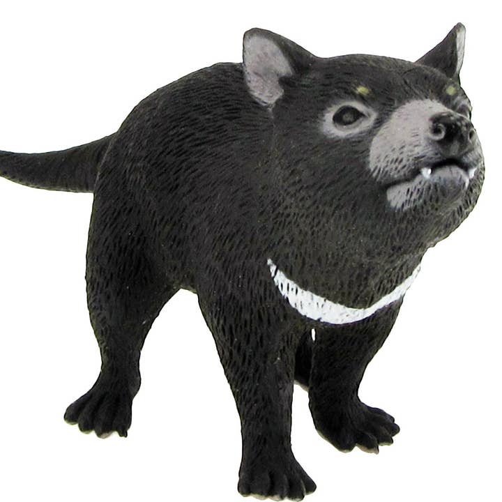 Large Tasmanian Devil (Pack of 3) for wholesale by Science and Nature
