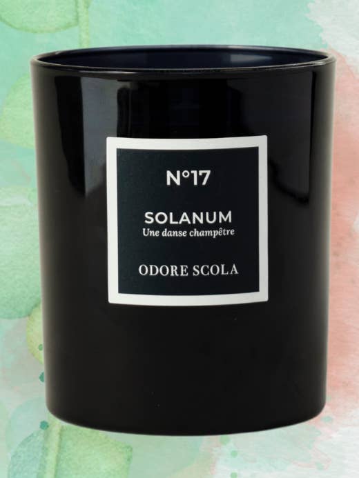 SOLANUM SCENTED CANDLE for wholesale by Odore Scola