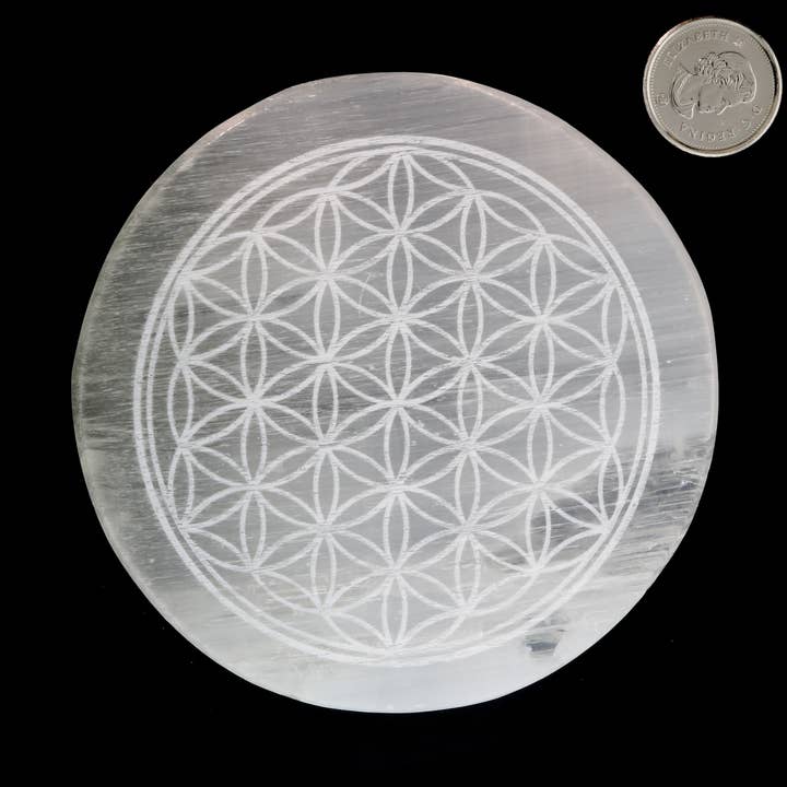 Piastra di ricarica in selenite - Fiore per la vendita all'ingrosso da parte di Stonebridge Imports