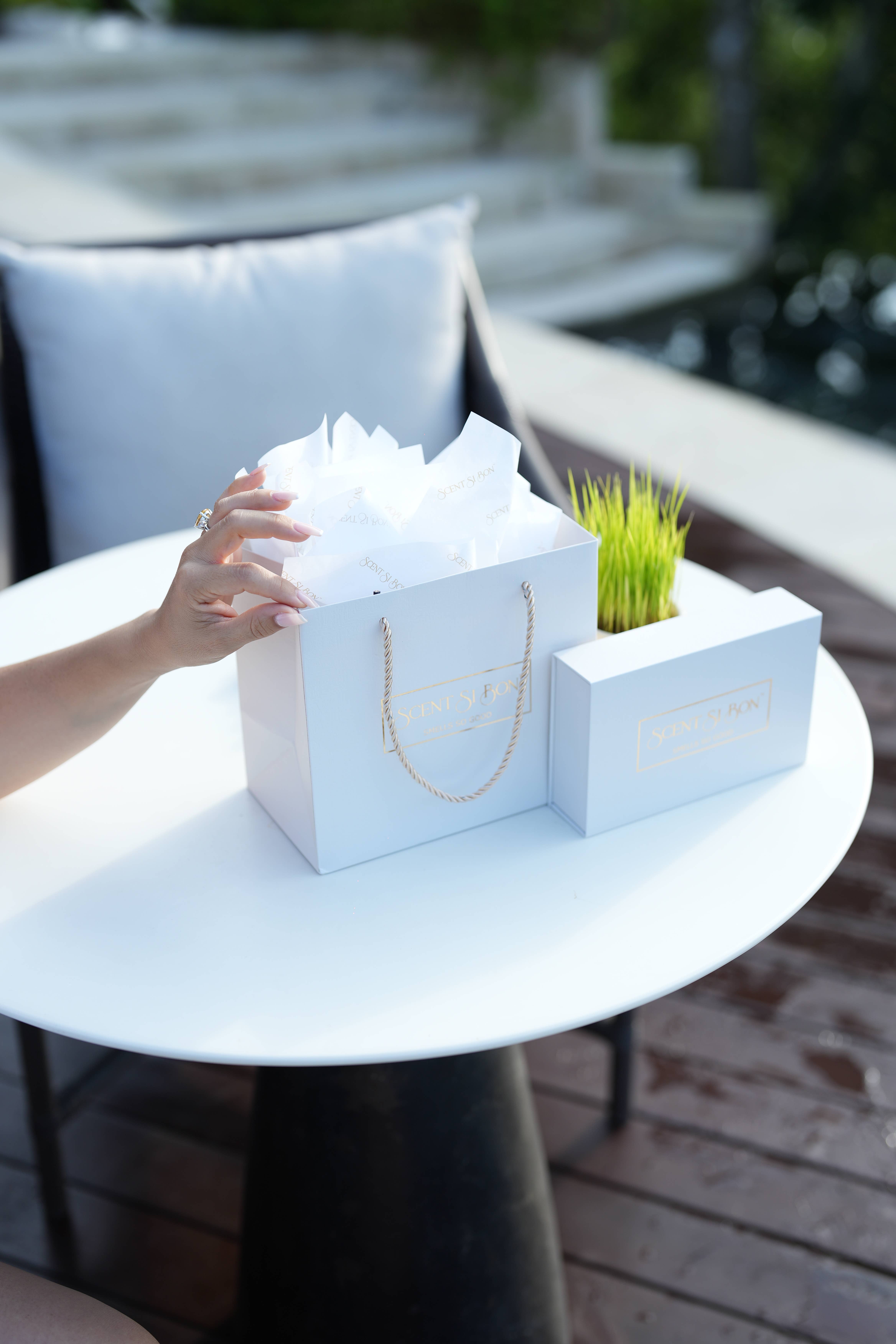 Scent Si Bon®️ - Wholesale Dryer Sheets - Scent Si Bon Le Beige Luxury Scented Dryer Sheets – 50 Count15