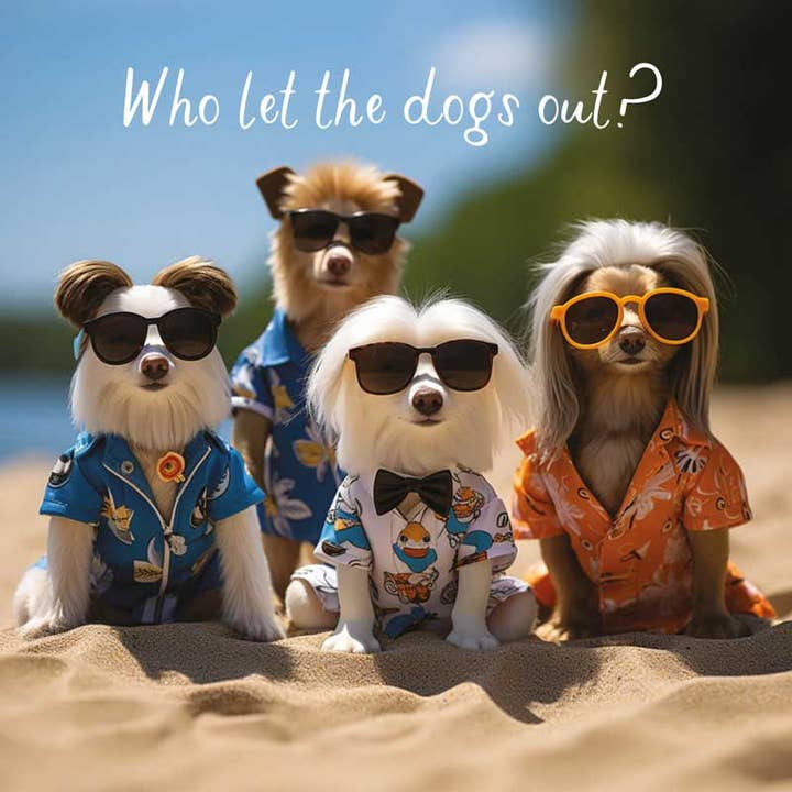 Offene Karte - Wer hat die Hunde rausgelassen? für den Großhandel von Hammond Gower Publications Ltd