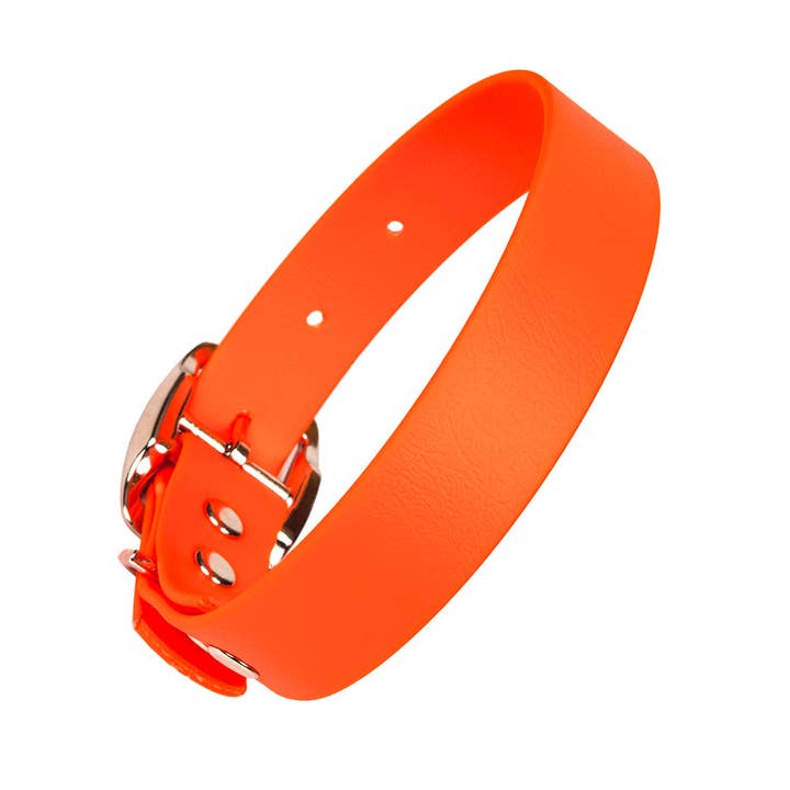 Waterproof vegan leather dog collar in bright orange Biothane for wholesale by Creature Clothes