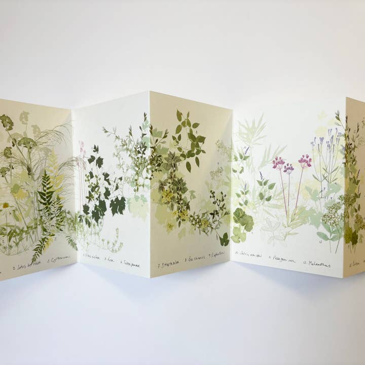 Amanda Ross - Wholesale Nature & Outdoors - 'The Secret Garden' Concertina Book3