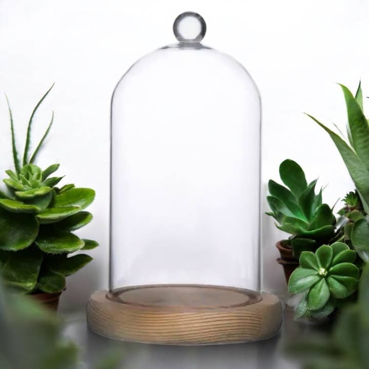 Wax Apothecary - Wholesale Decorative Jar - NEW Cloche Bell Jar with Wood Base for Candle Display