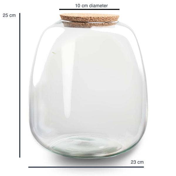 Oasis of Life - Wholesale Terrarium - Terrarium Bottle "Emma" β Glass Bottle 25x23cm β Decorative Glass for Plant Terrarium, Bottle Garden & Creative Plantings β High-Quality Glass Container for Houseplants & DIY Decor1