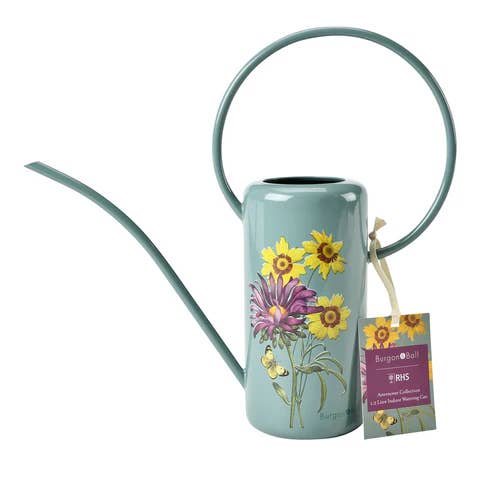 NEW RHS Gift Indoor Can Asteraceae for wholesale by Burgon and Ball