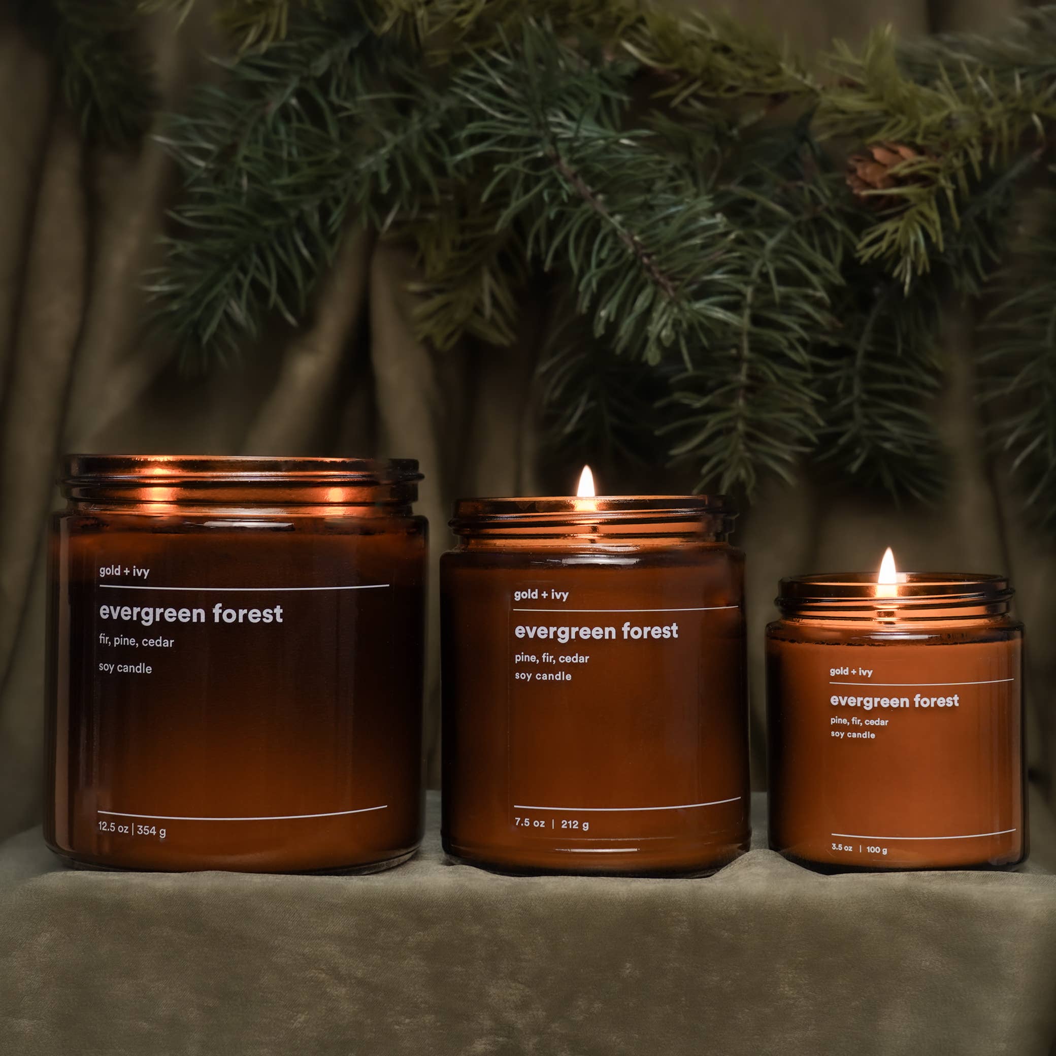 gold + ivy - Vente Bougie en bocal - bougie en cire de soja forêt sempervirente - sapin, pin, cèdre4