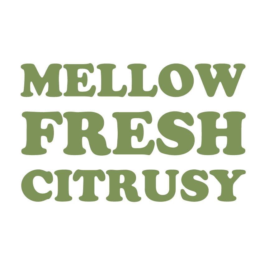 Queen Majesty Hot Sauce - Wholesale Hot Sauce - Jalapeño Tequila & Lime Hot Sauce - 5oz6