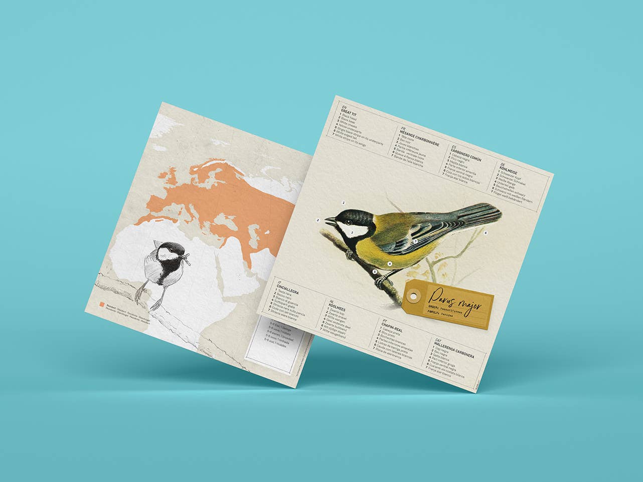 Today is Art Day - Wholesale DIY Craft Kit - Great Tit - Bird 3D Paper Figure by Plego4