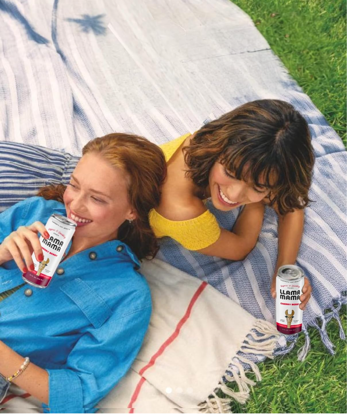 Llama Mama - Wholesale Soda/Carbonated Drink - Cherry Berry 6