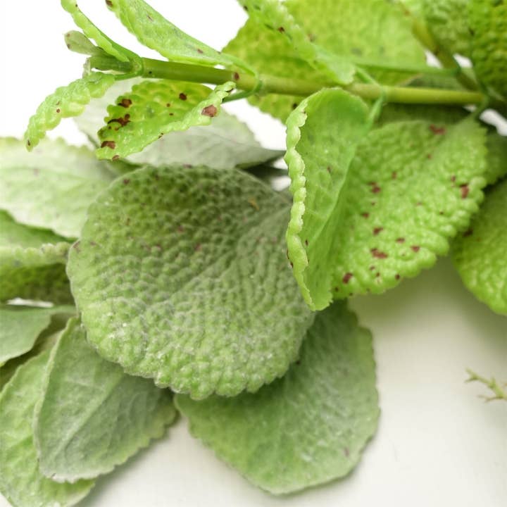 Leaf Design UK LTD - Vendita all'ingrosso Bandierine/Ghirlande - Pianta rampicante artificiale da appendere, con foglie di menta e ghirlanda1