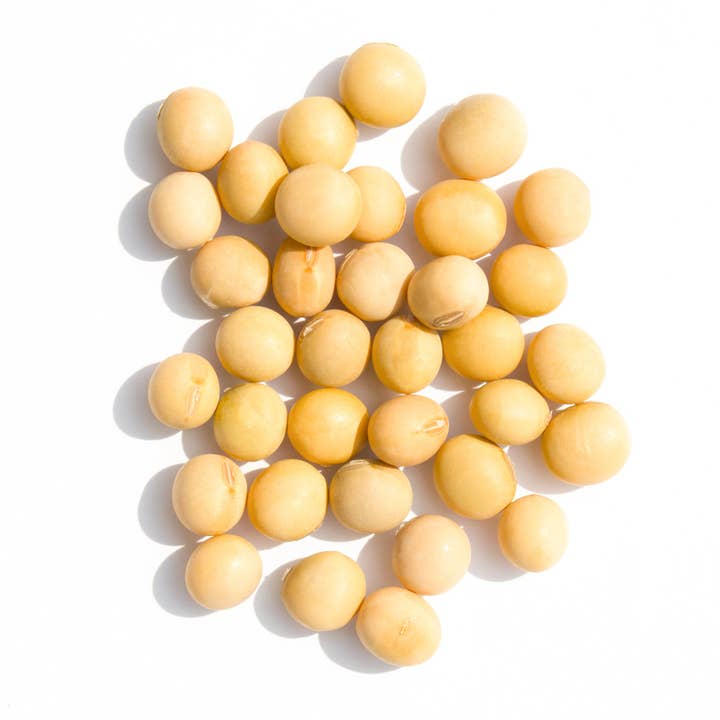 Soybean 2lb, 4lb for wholesale by ROM AMERICA