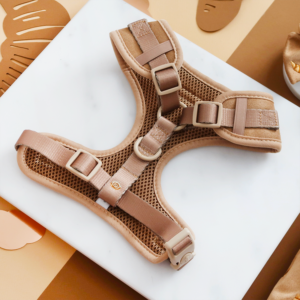 Cocopup London - Wholesale Pet Harness - Dog - Pawtisserie Adjustable Neck HARNESS2