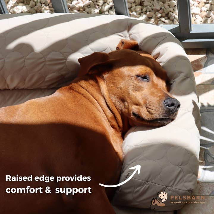 Pelsbarn - Wholesale Pet Bed - Dog - HeatRelief™ Cooling Dog Bed - Pelsbarn Helps Shelter Dogs!12