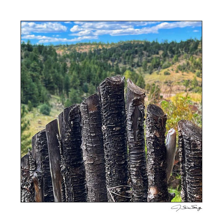 Clôture de Calynne pour la vente par Signature Image Gallery