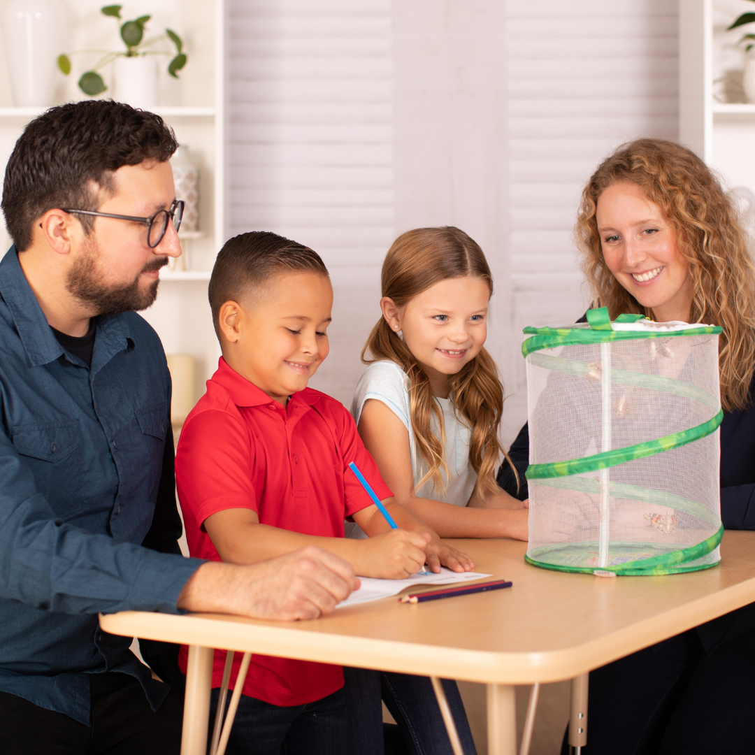 INSECT LORE - Wholesale Classic Toy - Kids - Original Butterfly Garden® Growing Kit with Voucher 7