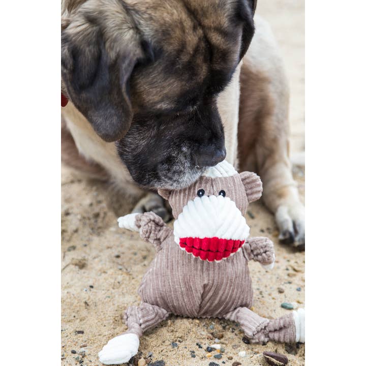 HuggleGroup - Wholesale Pet Plush Toy - Dog - Stuey Sock Monkey Knottie® Plush Dog Toy3
