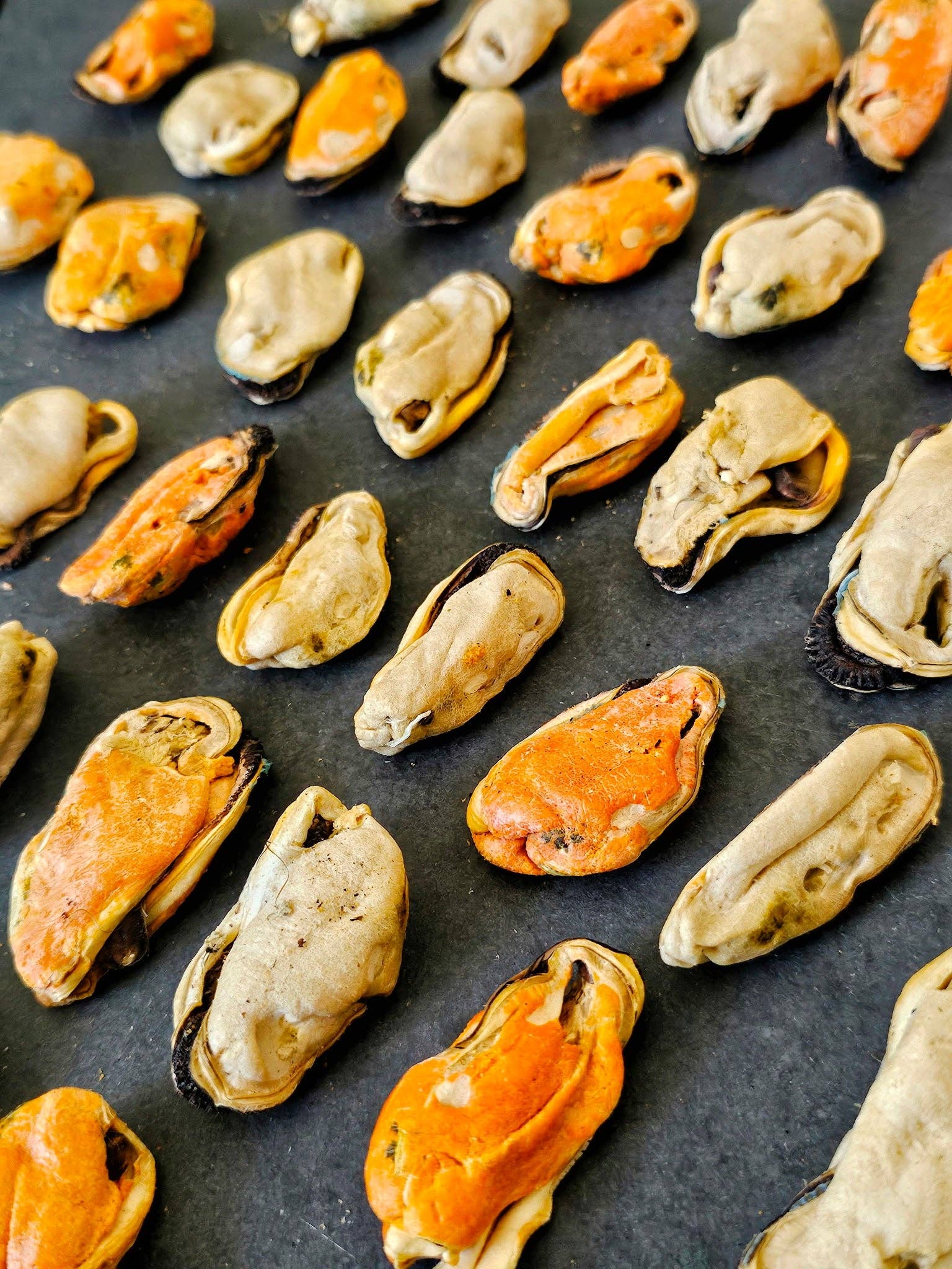 Naked Beasts, Inc. - Wholesale Pet Treats - Dog - Green Lipped Mussels (+Freeze Dried Options)4