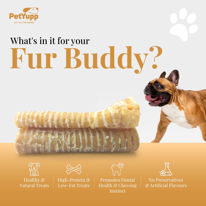 PetYupp - Wholesale Pet Treats - Dog - 100% Natural Water Buffalo Trachea Dog Chew - 6 Inch - 6 Count