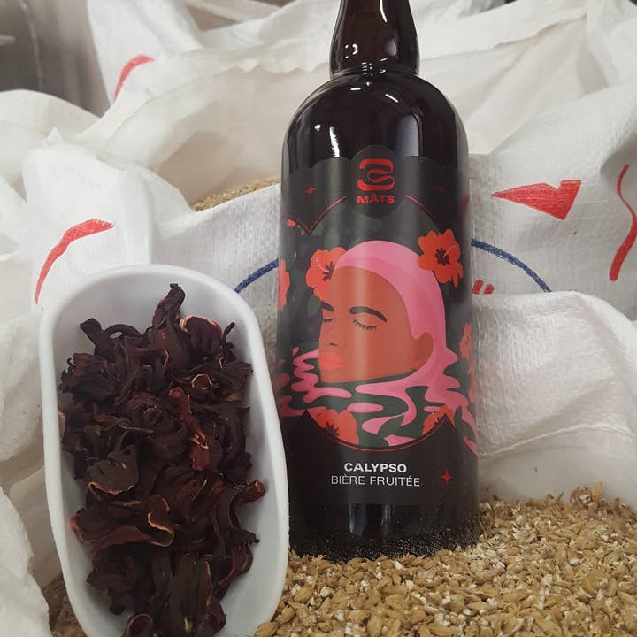 Brasserie 3 Mâts - Wholesale Beer - calypso3