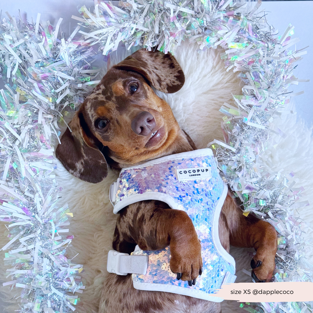 Cocopup London - Vendita all'ingrosso Pettorina - Cani - Imbracatura LUXE Party con Paillettes Olografiche18