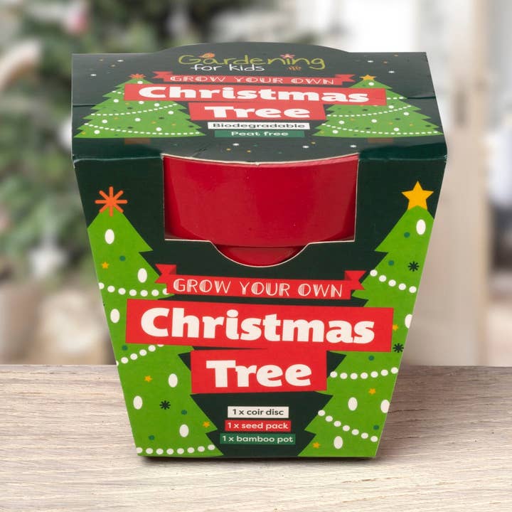 Children's Grow Your Own Christmas Tree Growing Kit for wholesale by Gardening for Kids Ltd