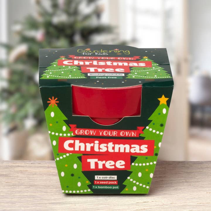 Children's Grow Your Own Christmas Tree Growing Kit for wholesale by Gardening for Kids Ltd
