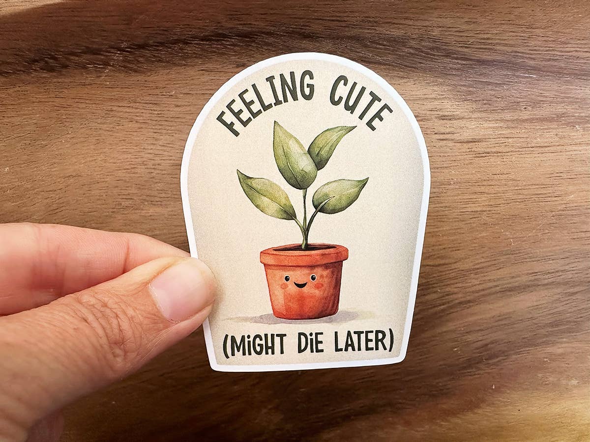 Missional Merch - Wholesale Sticker - Feeling Cute, Might Die Later | Funny Plant Sticker | Plants