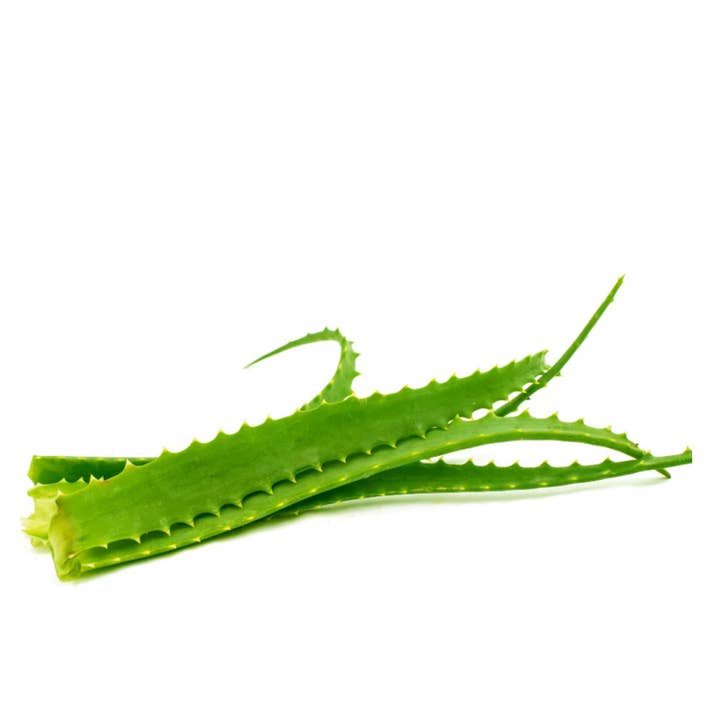 Vonderweid - Vendita all'ingrosso Vitamine/integratori orali - Padre Zago - Succo di Aloe Arborescens + Miele (BIO)2