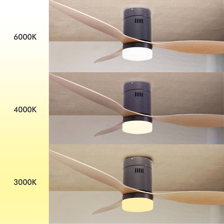 JOCCA - Wholesale Ceiling Fan - Ventilador de techo con luz8