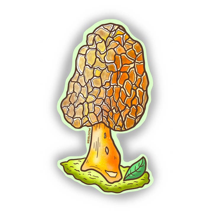 Morel Mushroom Sticker - Forest Fungi/Plant Sticker for wholesale by Heirloom Design Co.