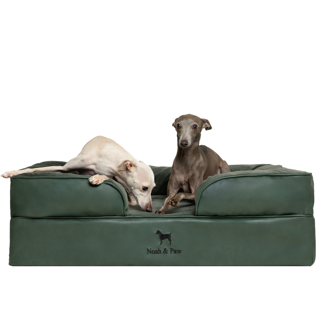 NOAH AND PAW LLC – Großhandel Haustierbett – Katze/Hund – Orthopädisches Hundebett im Sofastil aus Kunstleder mit Memory-Schaum und kühlendem Gel2