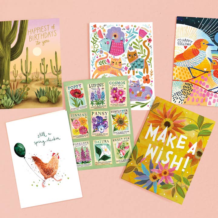 Biely & Shoaf - Wholesale Retailer display – Paper & novelty - 72-Pocket Filled Greeting Card Display10