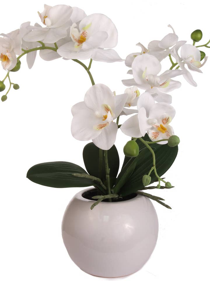 Set Of 4 - 16.5" Phalaenopsis Orchid Floral Arrangements for wholesale by Larksilk