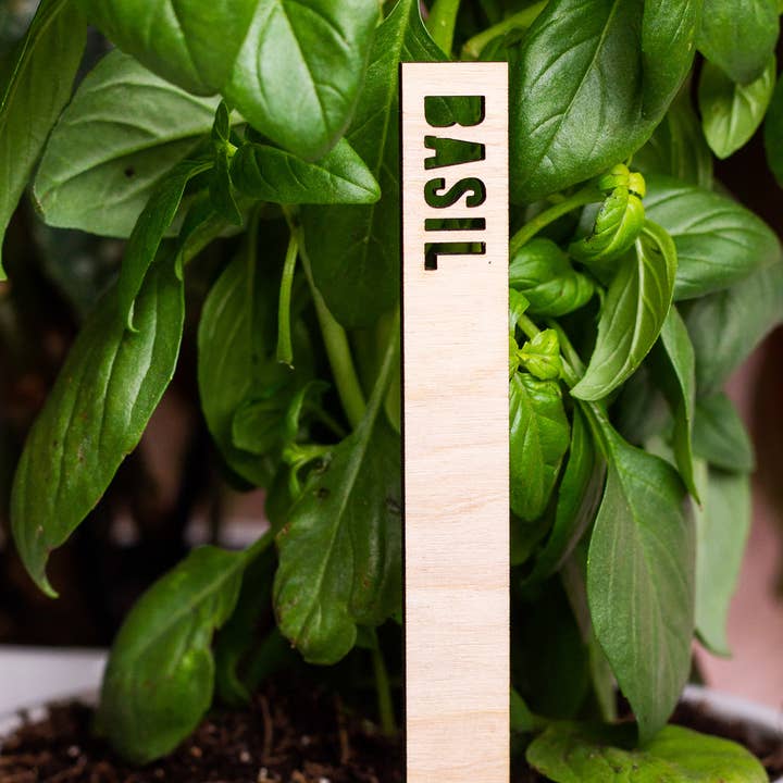 The Print Pantry - Vente Piquets de jardin/pelouse - Marqueurs de nom de plantes en bois1