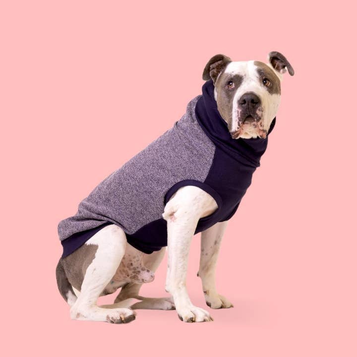 The Long Dog Clothing Co. – wholesale Pet jumper – Dog – The George