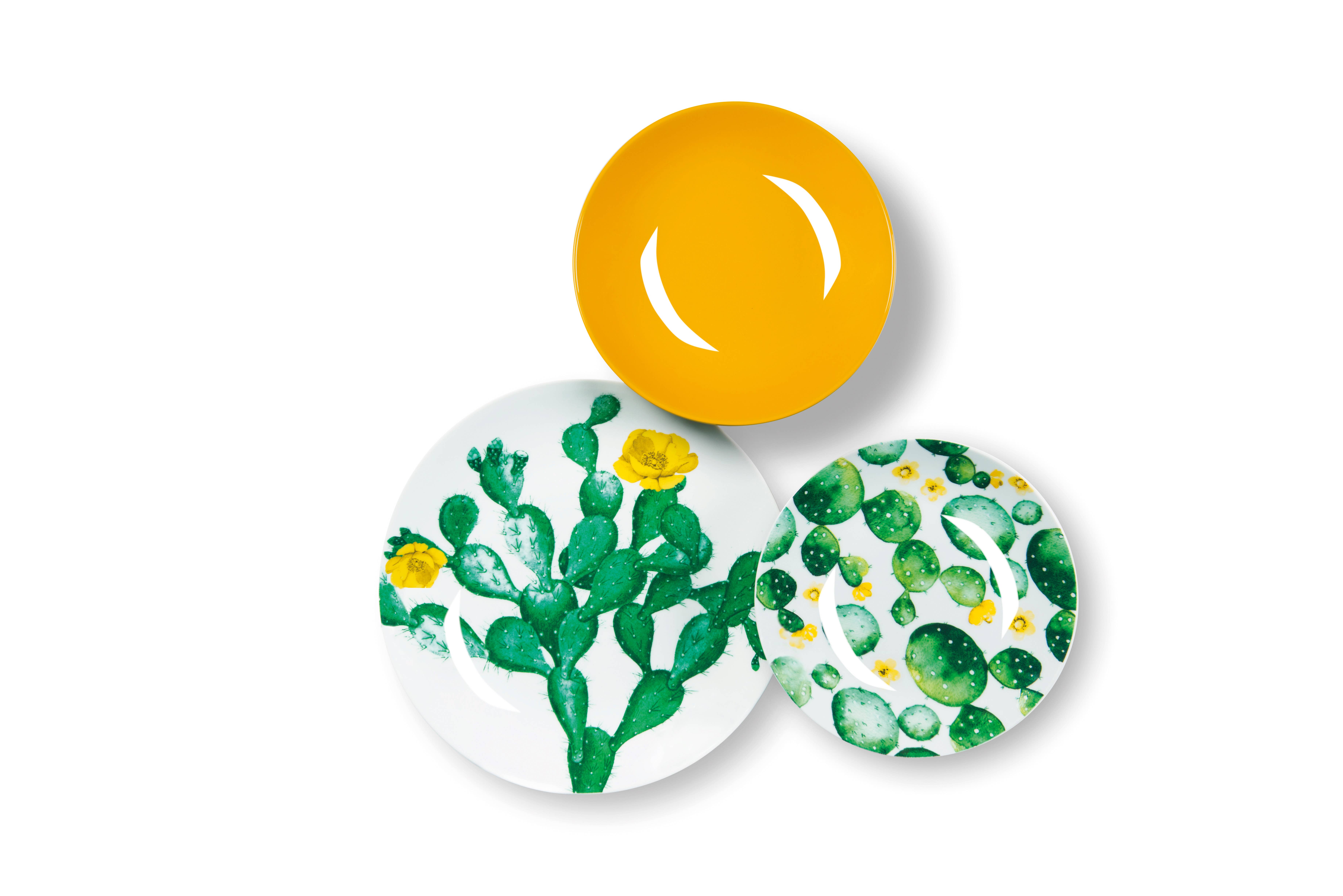 multicolour 18-Piece Dinnerware Set Color Cactus for wholesale on Faire4