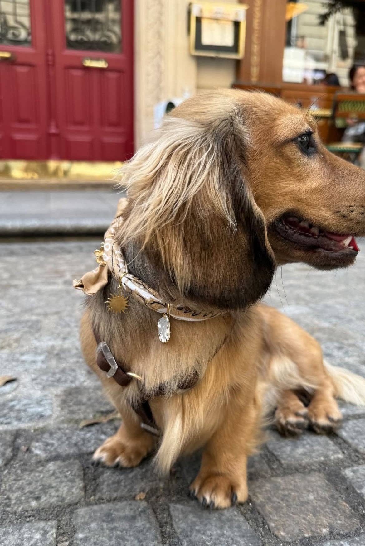 Aura - Wholesale Pet Bandana - Dog - Beige Dune Tie-On Bandana-Collar for Dogs and Cats3