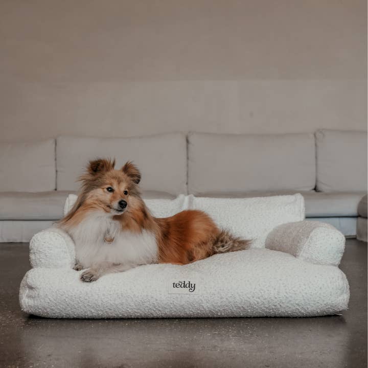 By Teddy - Wholesale Pet Bed - Dog - The Teddington Sofa8