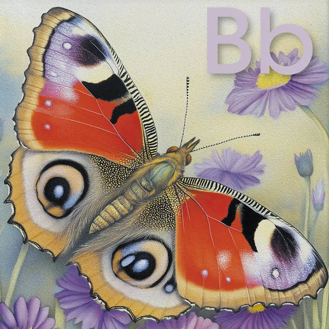Creative Carousel Publishing - Wholesale Learning Cards - Kids & Baby - Nature Alphabet Flash Cards/DIY Bunting3