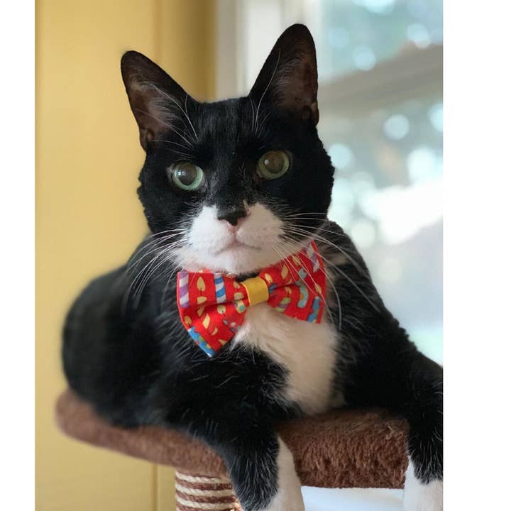 Made By Cleo - Wholesale Pet Bow Tie - Cat/Dog - "Birthday Candles" - Bow Tie for Cats + Small Dogs3