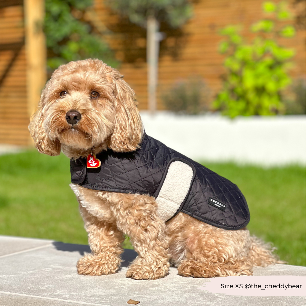 Cocopup London - Vente Manteau – chien - Manteau matelassé LUXE pour chien - Midnight Black17