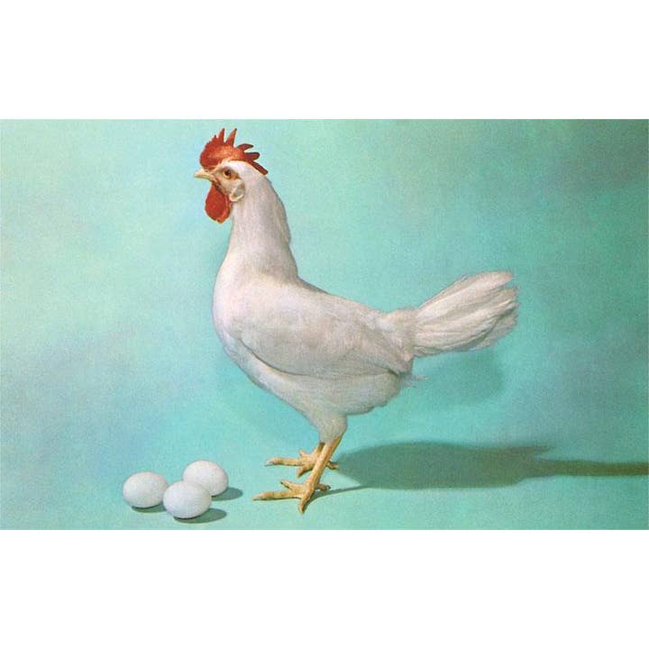 Postcard NP-99 Chicken and Eggs for wholesale by Found Image Press